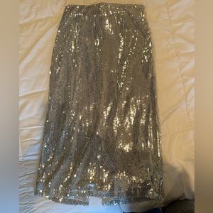 Silver Sequins Skirt,